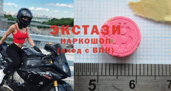индика Нягань