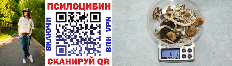 купить   Власиха  Псилоцибиновые грибы MAGIC MUSHROOMS 